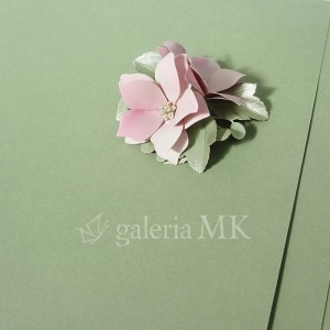 papier-zielony-oliwka-250g-30x30.jpg
