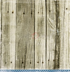 Pojedynczy-papier-do-scrapbookingu-30x30-seaside-greetings02-CC-C47-SG-02_2.jpg