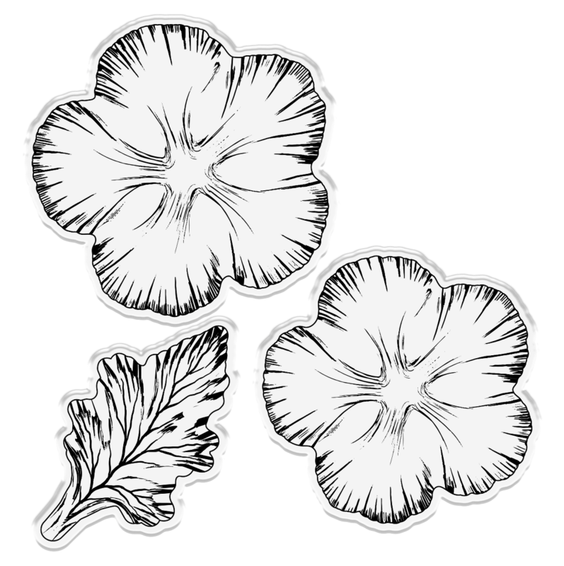 Wykrojnik-gemini-decoupage-flower-stamp-and-die-timeless-carnations_1.jpg