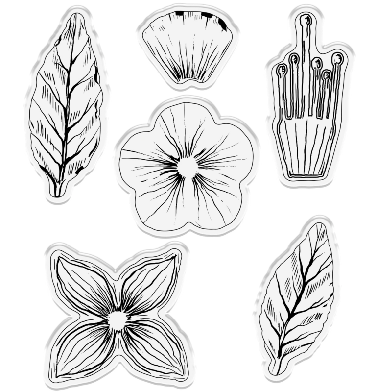 Wykrojnik-gemini-decoupage-flower-stamp-and-die-fabulous-fuchsia_1.jpg