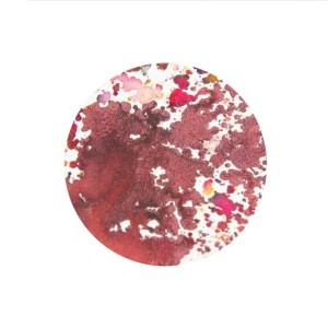 Proszek-do-embossingu-nuvo-shimmer-powder-maroon-spark-1223N_1.jpg