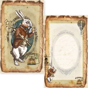 Zestaw-papierów-5x9-memory-place-wonderland-journaling-cards-mp-60971-3.jpg