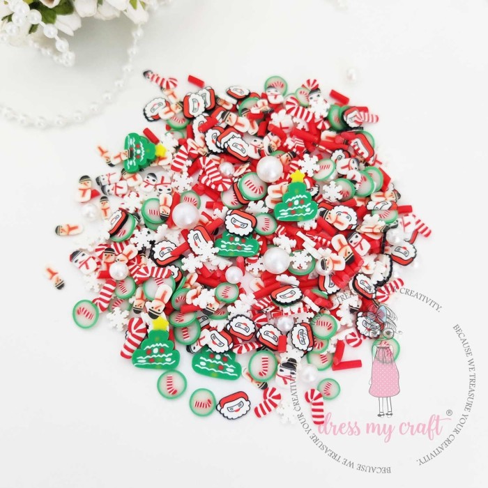 Elementy-do-shakera-dress-my-craft-shaker-slices-snowy-christmas-8g-dmcs4691.jpg