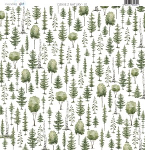 Papier-do-scrapbookingu-30x30-dzikie-z-natury-01_a.jpg