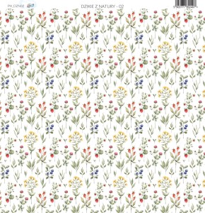Papier-do-scrapbookingu-30x30-dzikie-z-natury-02_a.jpg