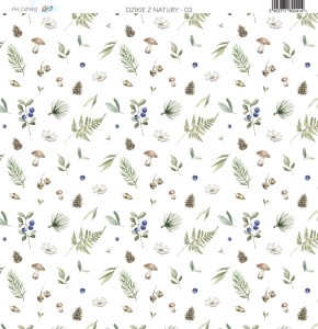 Papier-do-scrapbookingu-30x30-dzikie-z-natury-03_a.jpg