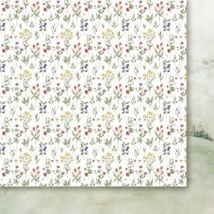 Papier-do-scrapbookingu-30x30-dzikie-z-natury-02.jpg