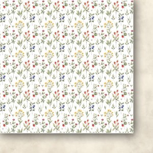 Zestaw-papierow-do-scrapbookingu-15x15-dzikie-z-natury_d.jpg