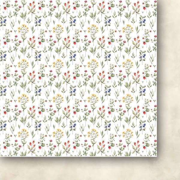Zestaw-papierow-do-scrapbookingu-15x15-dzikie-z-natury_d.jpg