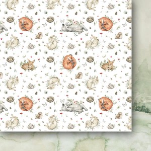 Zestaw-papierow-do-scrapbookingu-15x15-dzikie-z-natury_f.jpg