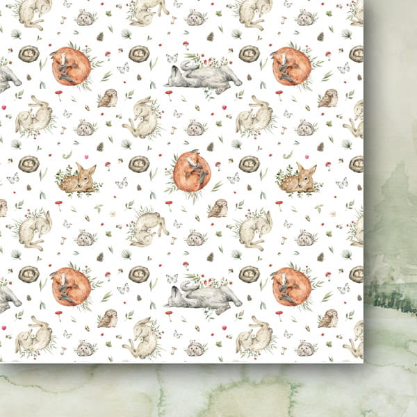 Zestaw-papierow-do-scrapbookingu-15x15-dzikie-z-natury_f.jpg