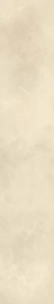 Papier-do-scrapbookingu-5x30-PASEK1-dzikie-z-natury_1.jpg