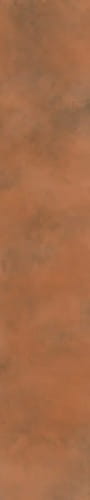 Papier-do-scrapbookingu-5x30-PASEK4-dzikie-z-natury_1.jpg
