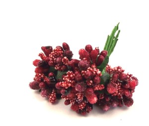 Ryżyk-pręciki-bukiet-czerwony.jpg
