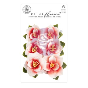 Kwiaty-prima-marketing-magnolia-rouge-flowers-blushing-florals-659639.jpg