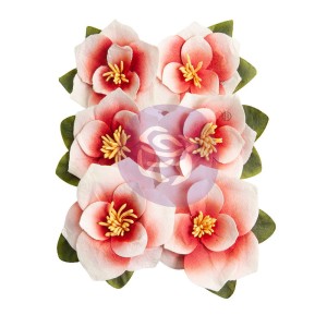 Kwiaty-prima-marketing-magnolia-rouge-flowers-blushing-florals-659639_1.jpg