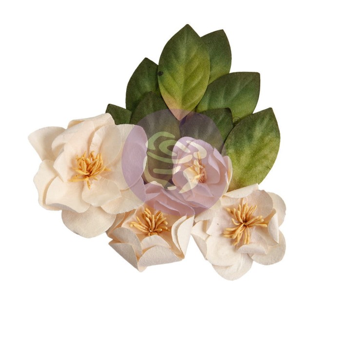 Kwiaty-prima-marketing-magnolia-rouge-flowers-peaceful-magnolia-659608_1.jpg