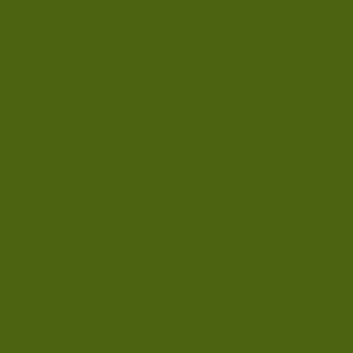 Farba-do-jedwabiu-Talens Art Creation • Textile Silk 50 ml Moss Green_1.jpg
