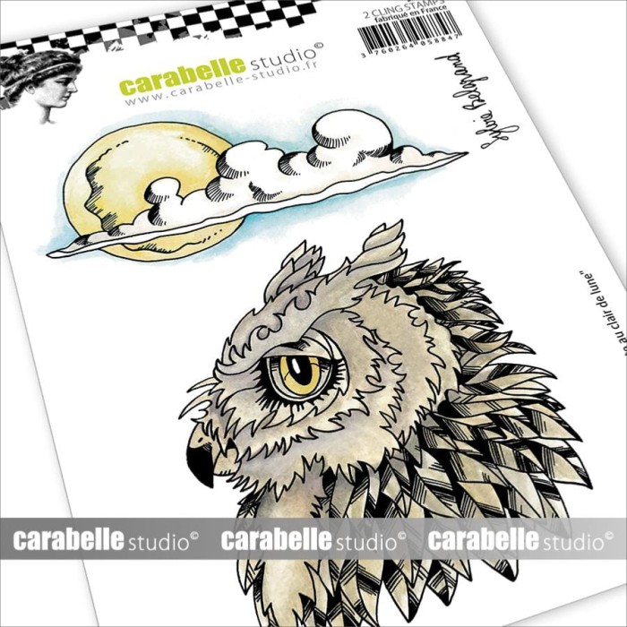 Stempel-carabelle-studio-Le roi poulpe et son fou-SA60553.jpg