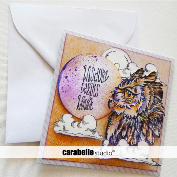 Stempel-carabelle-studio-Le roi poulpe et son fou-SA60553_1.jpg