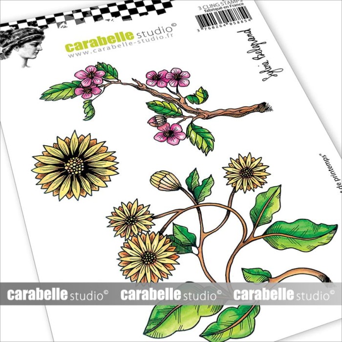 Stempel-carabelle-studio-Bouquet de printemps by Sylvie Belgrand-SA60554.jpg