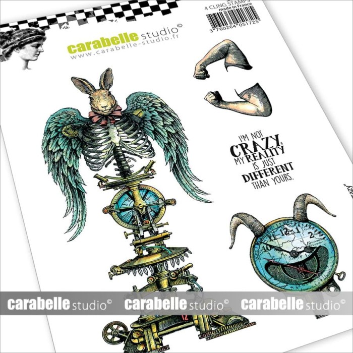 Stempel-I'm not crazy-SA60319E.jpg