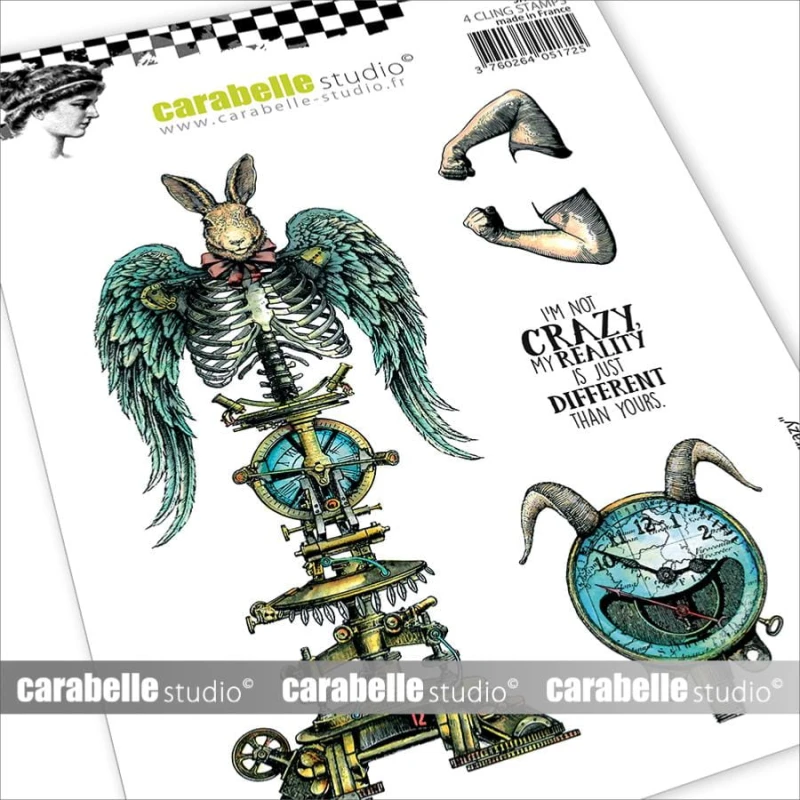 Stempel-I'm not crazy-SA60319E.jpg