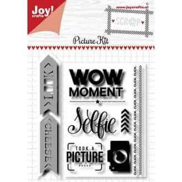 Zestaw - Zestaw - Wykrojnik + Stemple Picture Kit - Joy!crafts.jpg