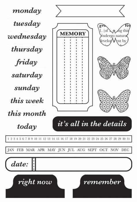 Stempel-Kaisercraft • Limelight Clear Stamp 15.9x10.2cm.jpg