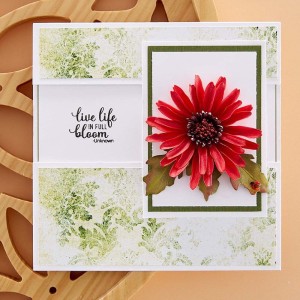 Wykrojnik-spellbinders-gerber-daisy-and-ladybugs-etched-dies-S5-531_4.jpg