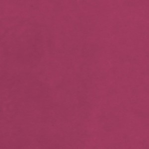 Puder-do-embossingu-stampendous-detail-fuchsia-embossing-powder-15g-dp115_1.jpg