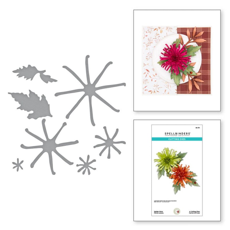 Wykrojnik-spellbinders-spider-mum-s5-576.jpg