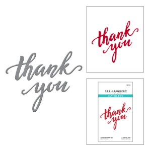 Wykrojnik-spellbinders-scripted-thank-you-s2-362.jpg