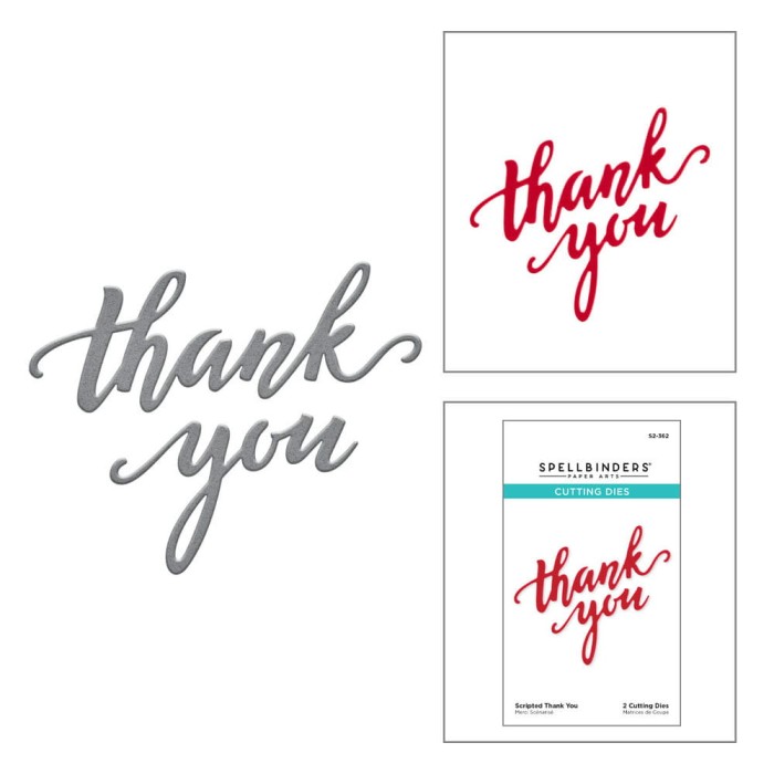 Wykrojnik-spellbinders-scripted-thank-you-s2-362.jpg