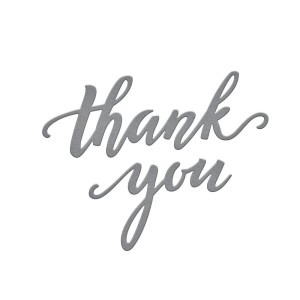 Wykrojnik-spellbinders-scripted-thank-you-s2-362_2.jpg