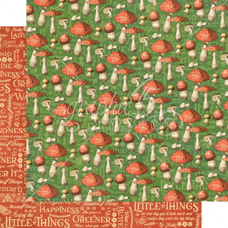 Zestaw-papierów-do-scrapbookingu-30x30-graphic-45-little-things-collection-pack_6.jpg