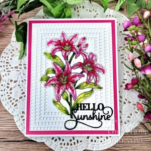 Wykrojnik-creative-expressions-sue-wilson-craft-die-noble-decorative-equared-rectangles_3.jpg
