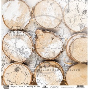 papier-do-scrapbookingu-in-the-past-arkusz-8-30x30_3.jpg
