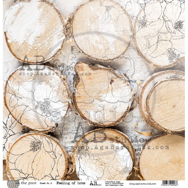 papier-do-scrapbookingu-in-the-past-arkusz-8-30x30_3.jpg