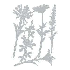 Wykrojnik-sizzix-by-tim-holtz-wildflower-stems2-664164_1.jpg