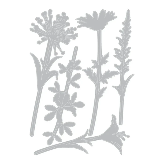 Wykrojnik-sizzix-by-tim-holtz-wildflower-stems2-664164_1.jpg