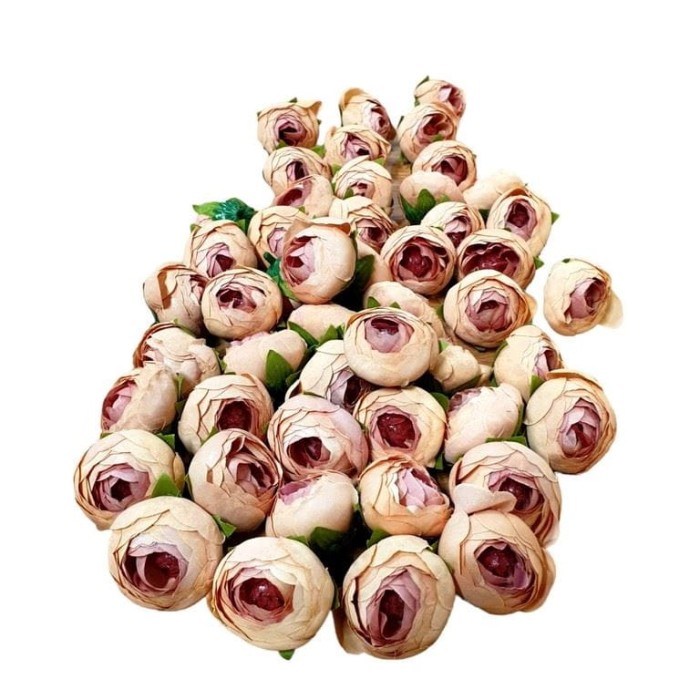 7-kwiatkow-glowki-brzoskwiniowe.jpg