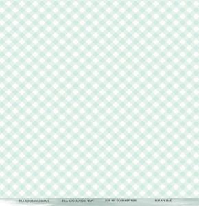 Zestaw-papierow-do-scrapbookingu-30x30-our-time-togheter-AA-OTT-07_13.jpg