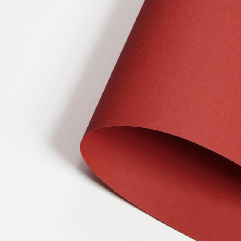 Papier-Canson-Mi-Teintes-A4-506-Poppy-Red_1.jpg