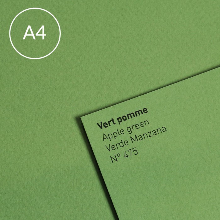 Papier-Canson-Mi-Teintes-A4-475-Green.jpg