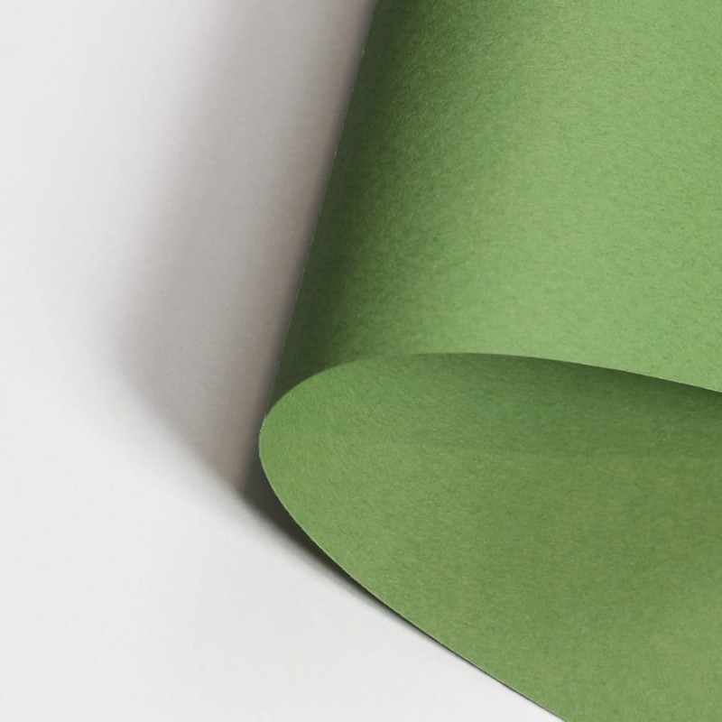 Papier-Canson-Mi-Teintes-A4-475-Green_1.jpg