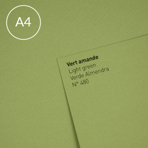 Papier-Canson-Mi-Teintes-A4-480-Light-Green.jpg