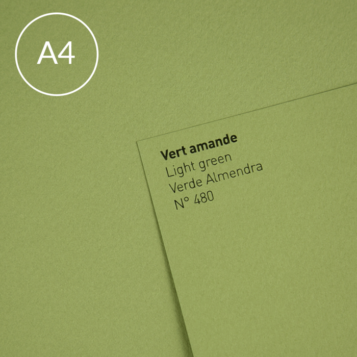 Papier-Canson-Mi-Teintes-A4-480-Light-Green.jpg
