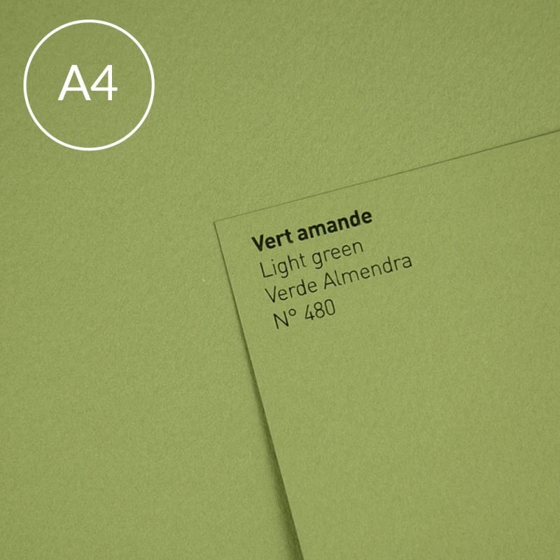 Papier-Canson-Mi-Teintes-A4-480-Light-Green.jpg