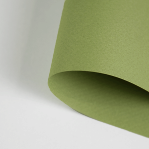 Papier-Canson-Mi-Teintes-A4-480-Light-Green_1.jpg